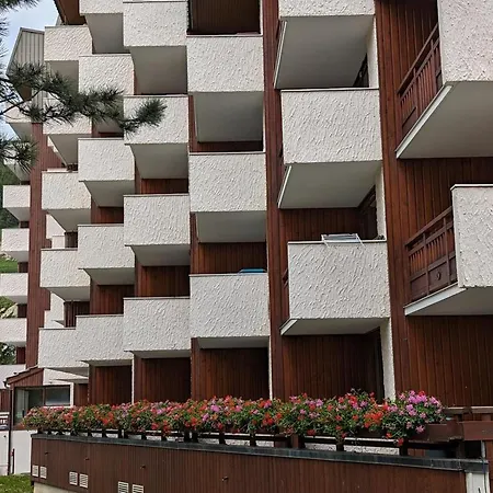 Fonctionnel Avec Balcon, Au Pied Des Pistes, Animaux Admis - Fr-1-811-32 Appartement Les Deux Alpes